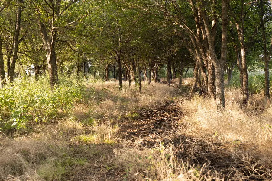 000 SCHEER ROAD, Henrietta, TX 76365 - Image #2