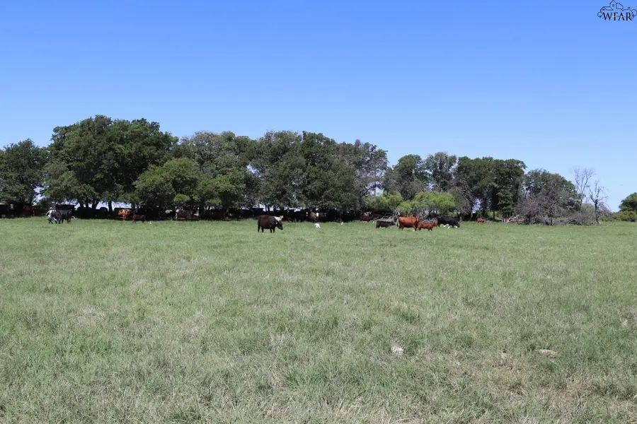 80 ACRES S DEER CREEK ROAD, Henrietta, TX 76365 - Image #2