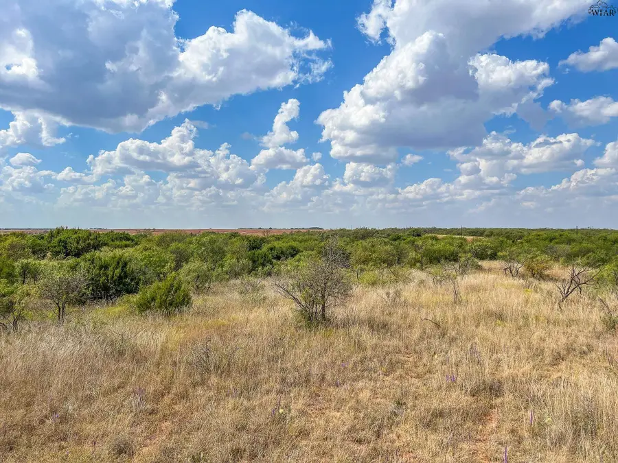 100 ac CR 436, Seymour, TX 76380 - Image #3