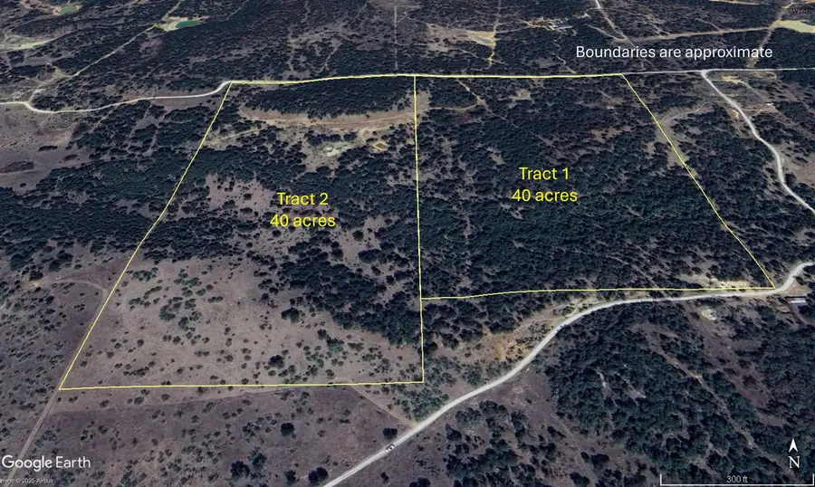 Tbd Tract 2 SUNSET LANE, Jacksboro, TX 76458 - Image #2