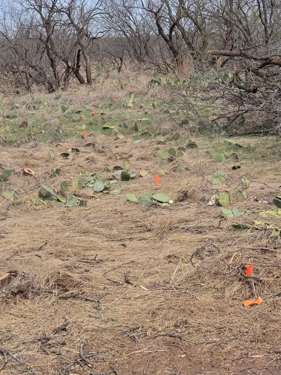 652 KINTA TRAIL, Wichita Falls, TX 76310 - #2