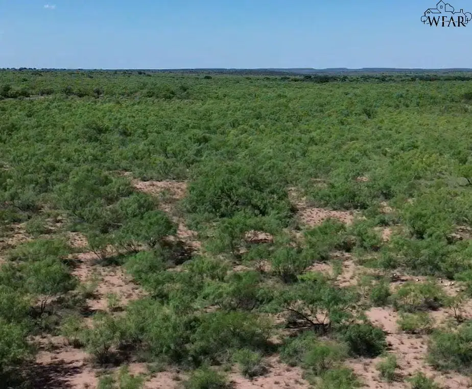98.875 ac CR 475, Crowell, TX 79227 - #1