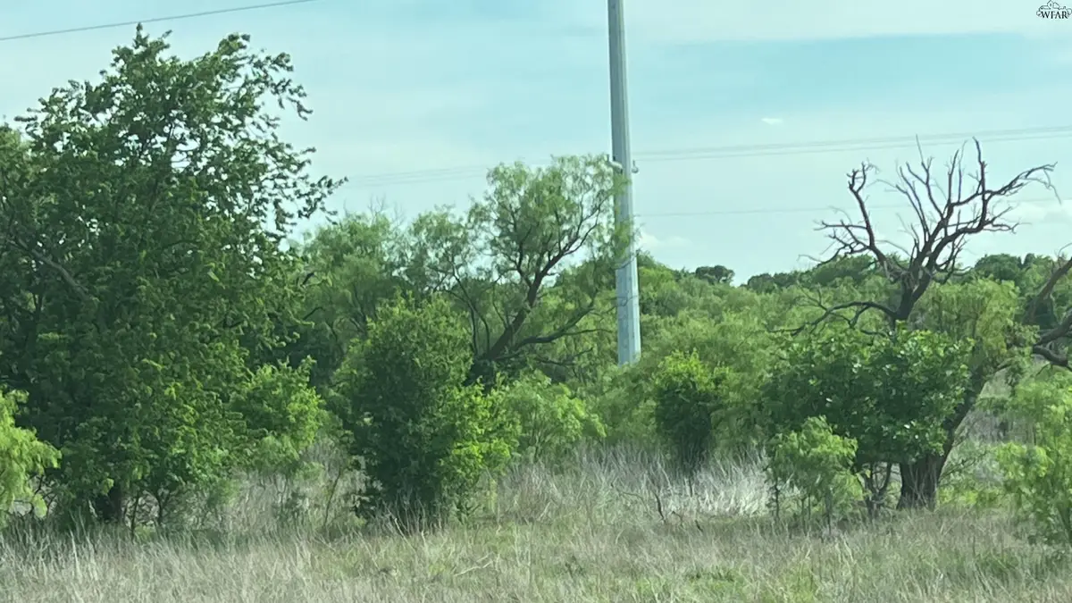 15 acres S HWY 287, Henrietta, TX 76365 - #1