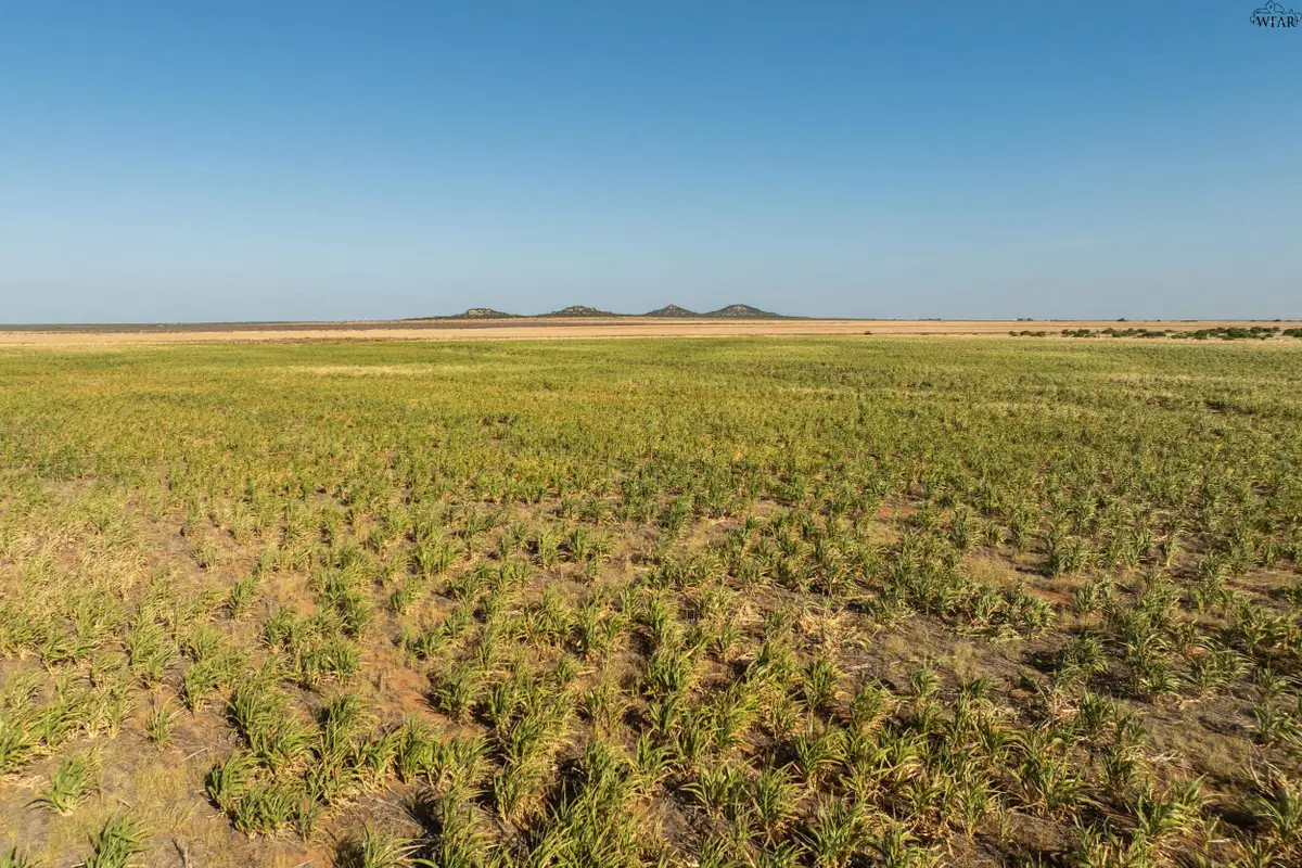 TBD FM 1167 TBD, Quanah, TX 79252 - #1