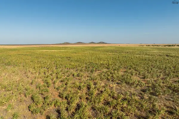 TBD FM 1167 TBD, Quanah, TX 79252
