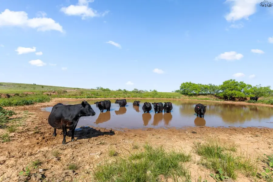 178.6 acres HWY 81, Ringgold, TX 76261 - #3
