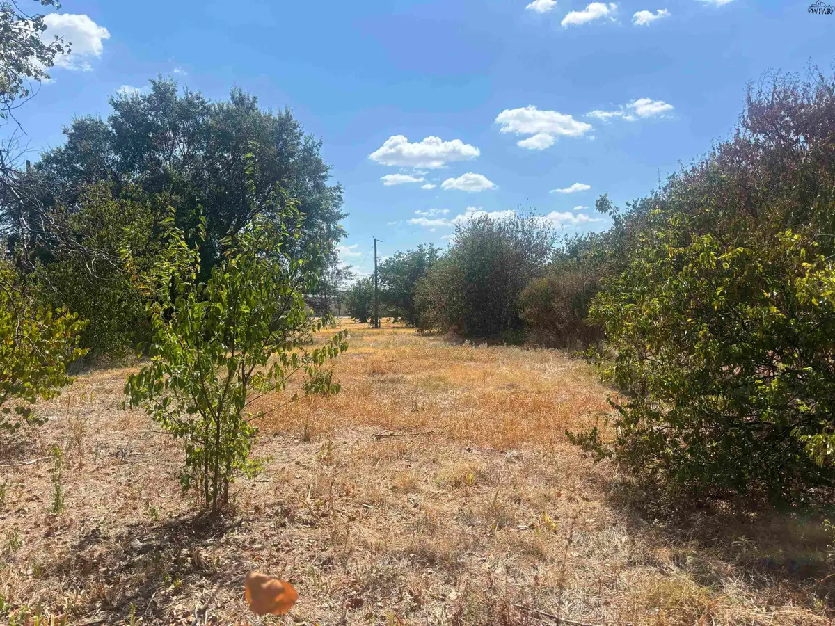 1519 ELIZABETH AVENUE, Wichita Falls, TX 76301-0000 - #1