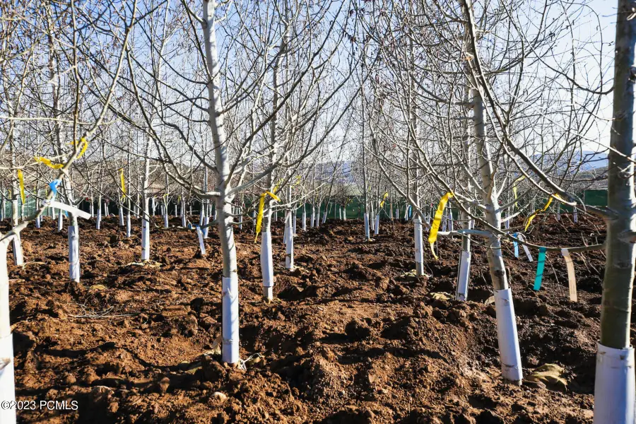 574 Village View Drive, Coalville, UT 84017 - #3