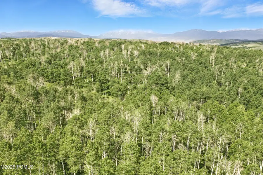 1555 N Wolf Creek Ranch Road, Kamas, UT 84036 - #3