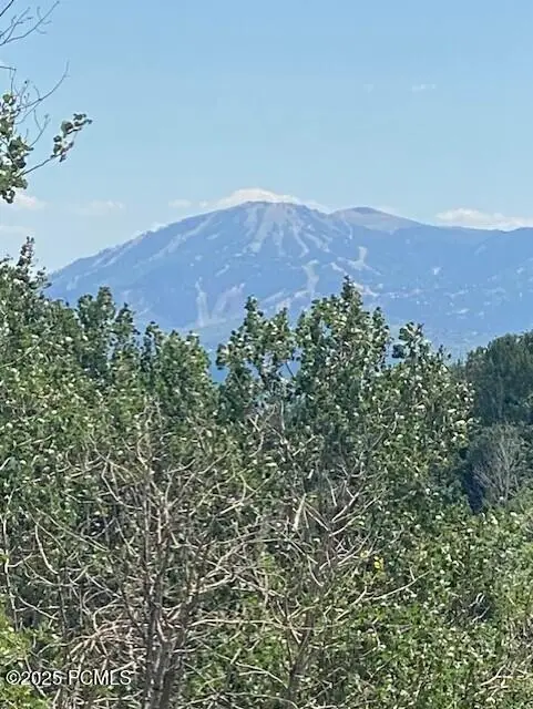 2684 S Forest Meadow Road, Coalville, UT 84017