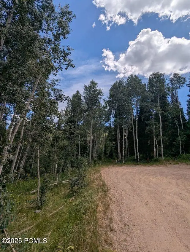 11319 E Tanglewood Drive, Heber City, UT 84032 - #2