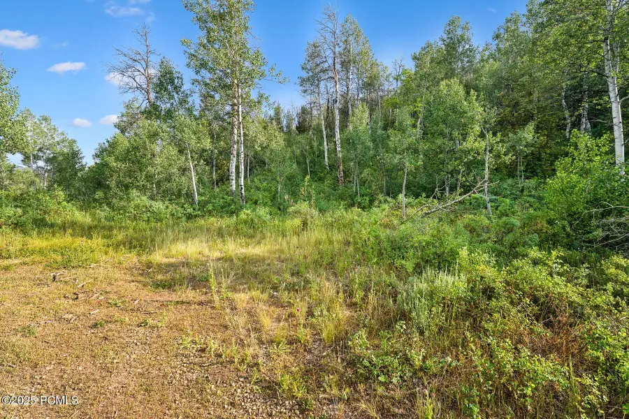 Tax Id 00-0008-2409, Heber City, UT 84032 - #3