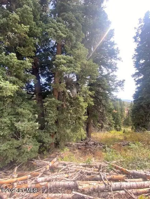 2393 Navajo Drive, Coalville, UT 84017 - #2