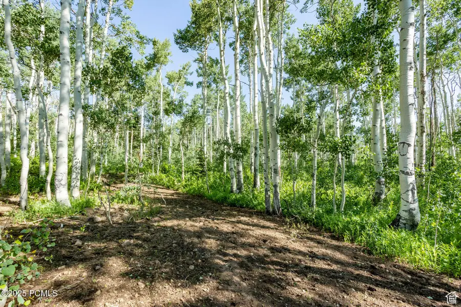 5156 N Pebble Drive, Midway, UT 84049 - #2