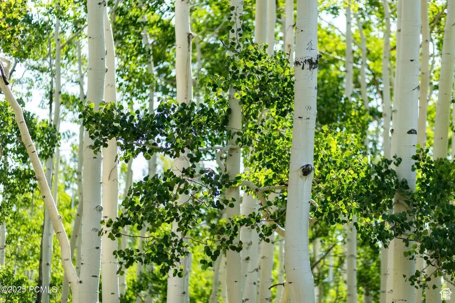 5156 N Pebble Drive, Midway, UT 84049 - #3