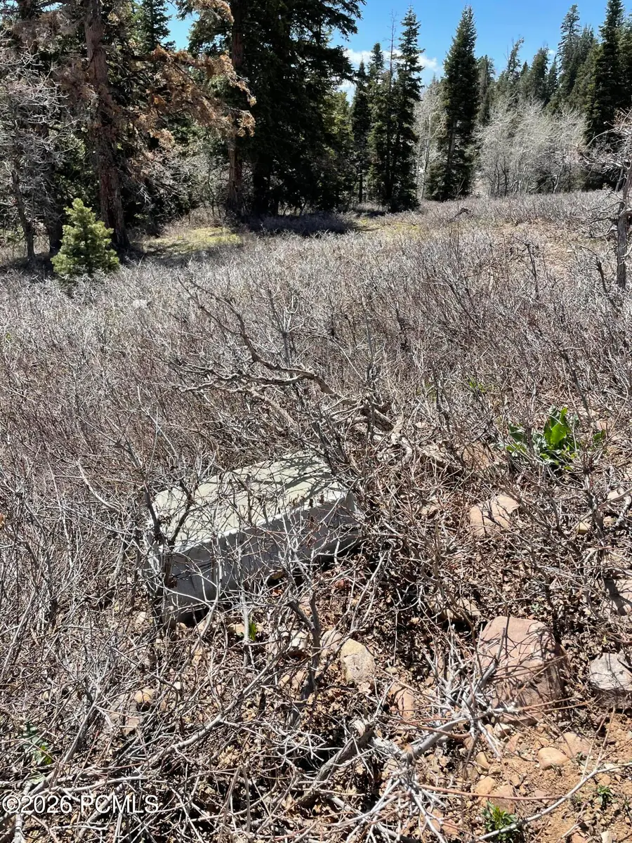 2271 Deer Loop, Coalville, UT 84017 - #3