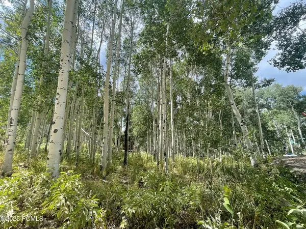 11485 Violet Way, Heber City, UT 84032