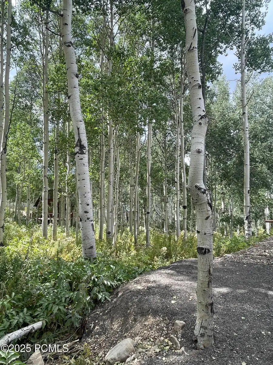 11485 Violet Way, Heber City, UT 84032 - #3