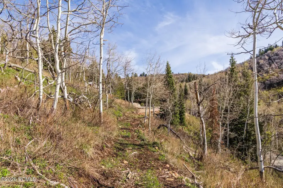 10135 N Kimball Canyon Road, Park City, UT 84098 - #3