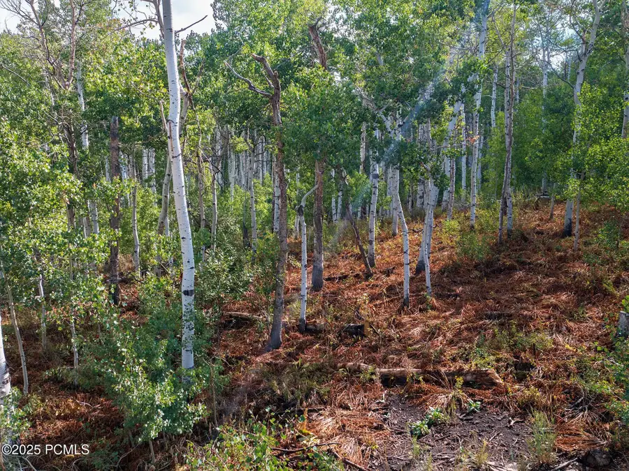 2919 S Green Briar Way, Heber City, UT 84032 - #2