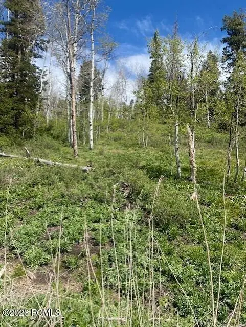 1798 W Alexander Canyon Road, Coalville, UT 84017 - #2