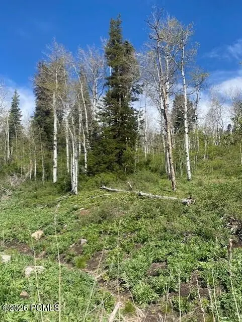 1798 W Alexander Canyon Road, Coalville, UT 84017 - #3