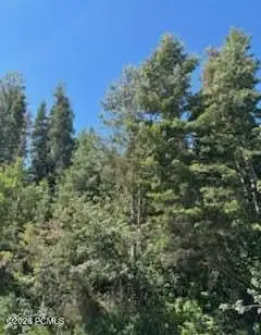 390 Aspen Drive, Park City, UT 84098 - #3