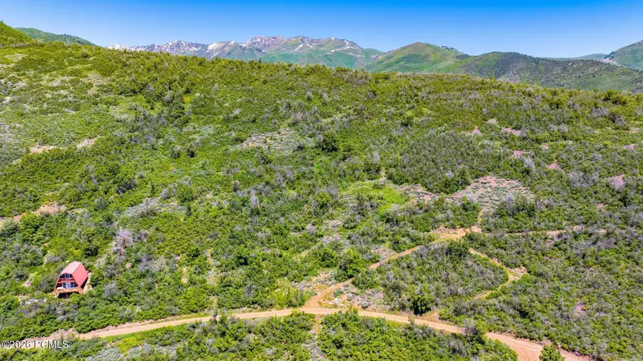 1246 Hillside Drive, Midway, UT 84049 - #2