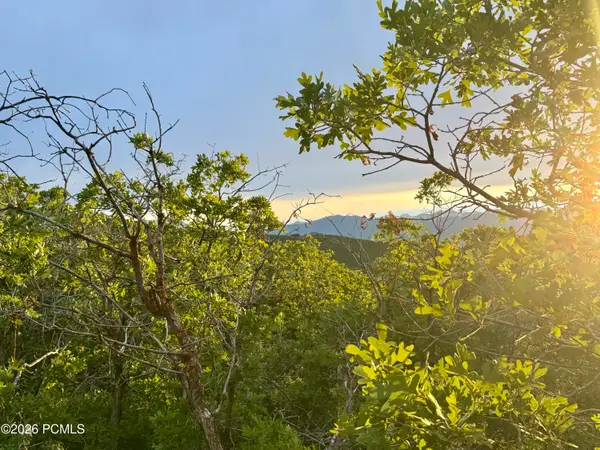 1556 S Tree Top Lane, Heber City, UT 84032