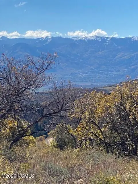 509 W Artist Point Drive, Coalville, UT 84017