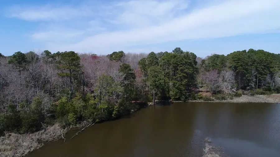 Lot 3 Terrapin Station Rd, Belle Haven, VA 23306 - Image #2