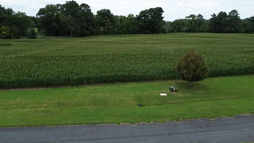 Lot 1 Waterside Dr, New Church, VA 23415 - Image #1