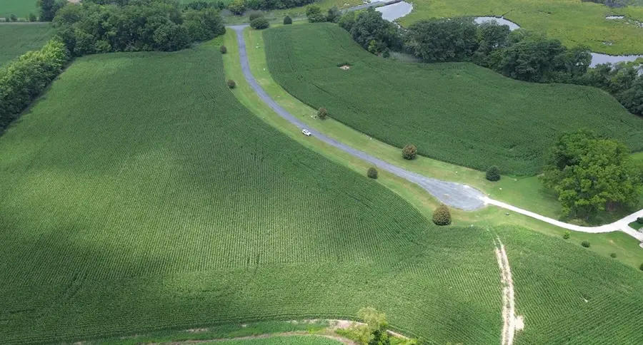 Lot 1 Waterside Dr, New Church, VA 23415 - Image #3