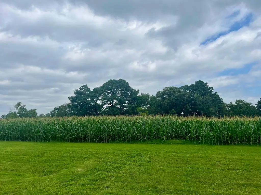 Lot 2 Waterside Dr, New Church, VA 23415 - Image #1