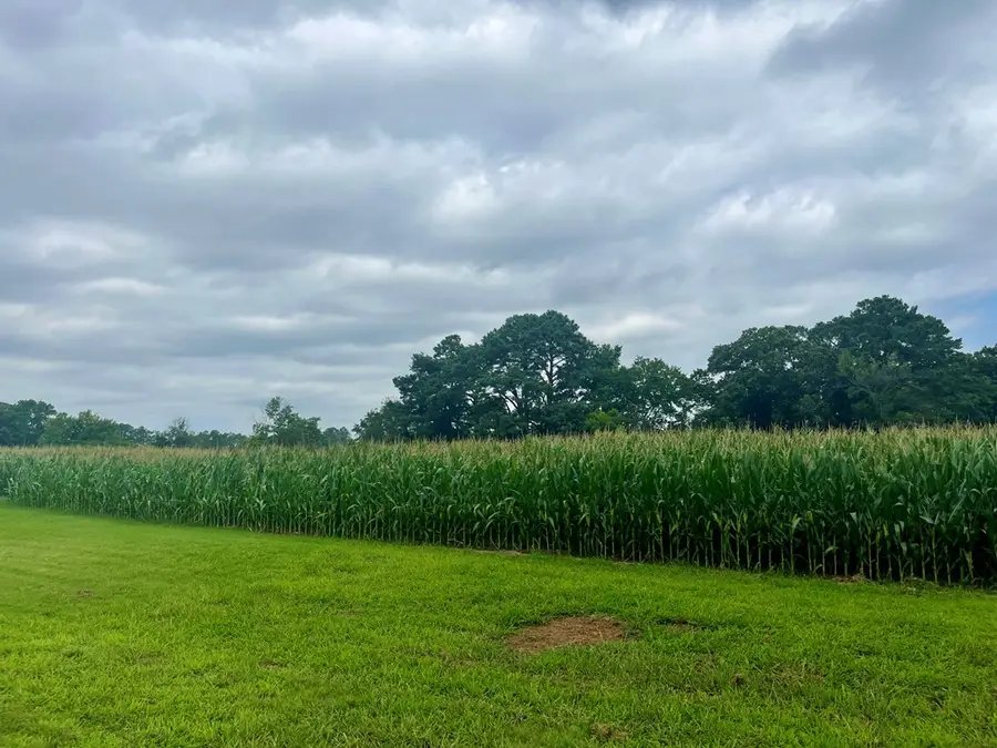 Lot 2 Waterside Dr, New Church, VA 23415 - Image #2