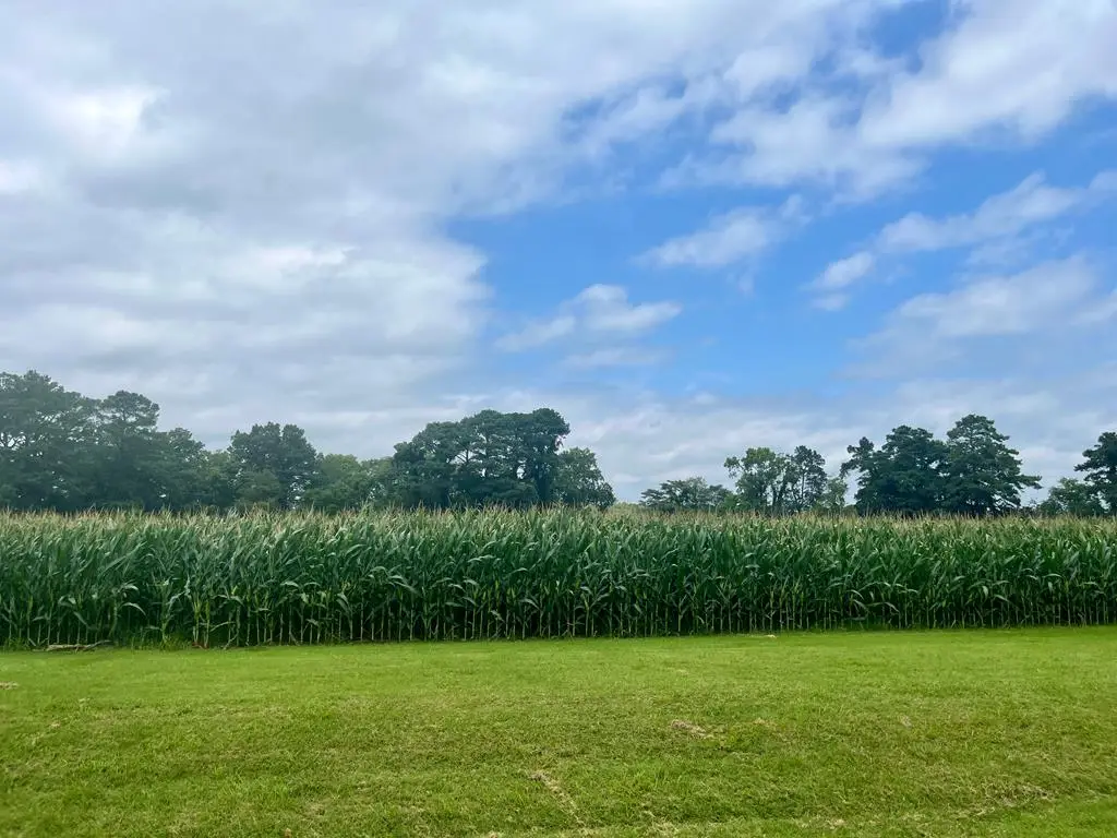 Lot 4 Waterside Dr, New Church, VA 23415 - Image #1