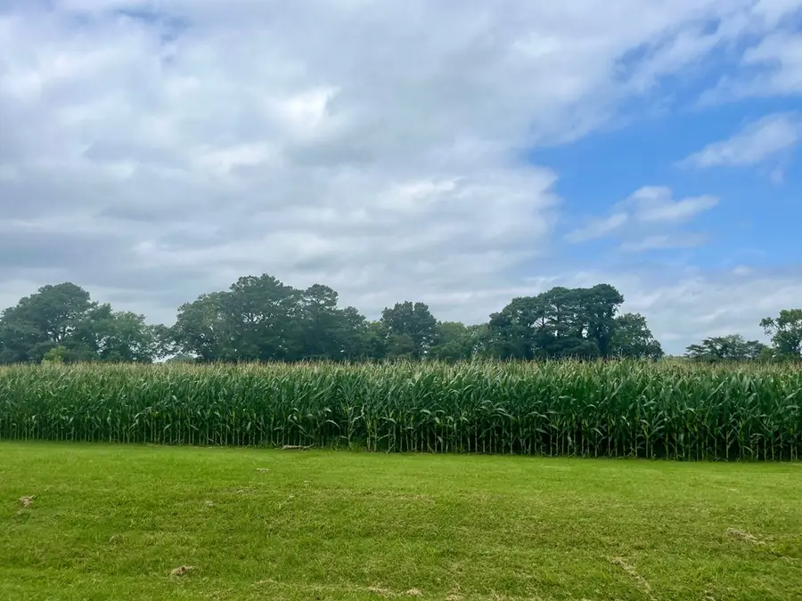 Lot 4 Waterside Dr, New Church, VA 23415 - Image #2