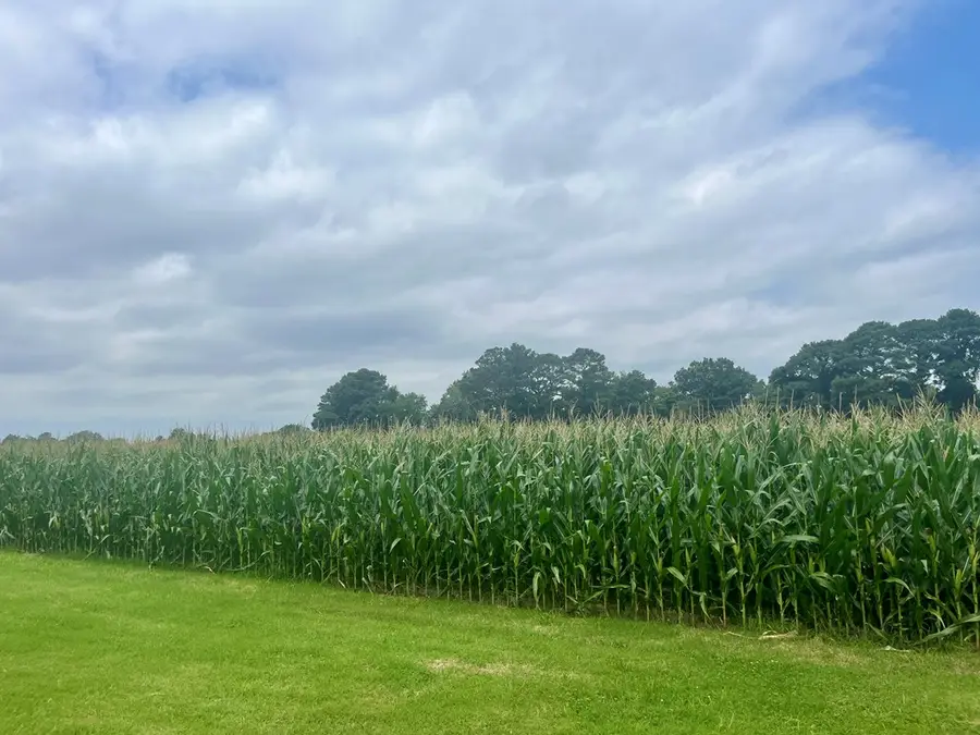 Lot 5 Waterside Dr, New Church, VA 23415 - Image #2