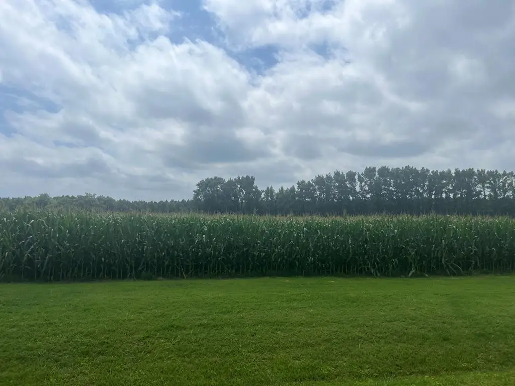 Lot 10 Waterside Dr, New Church, VA 23415 - #1