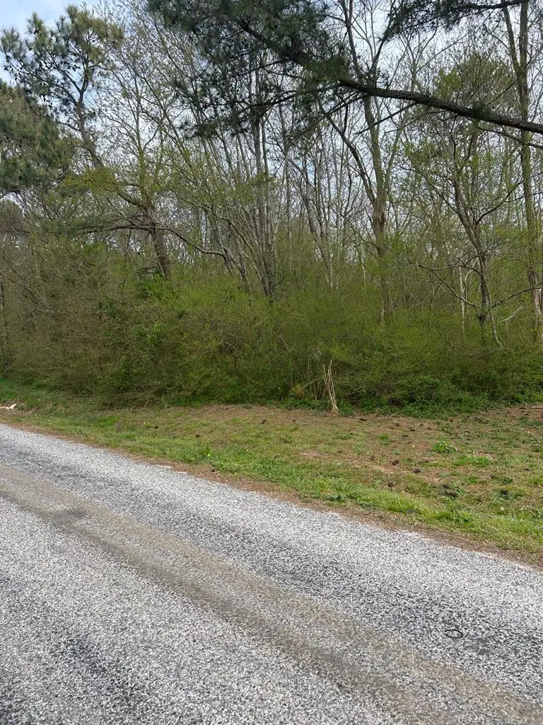 0 Cheapside Rd, Cape Charles, VA 23310 - Image #2