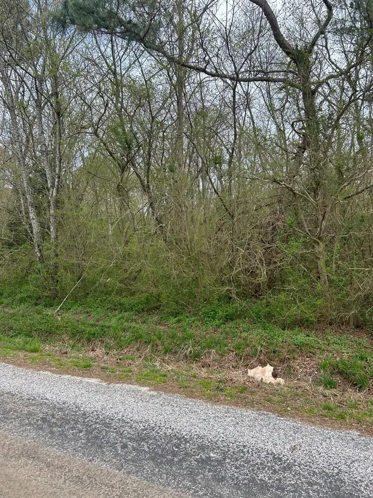 0 Cheapside Rd, Cape Charles, VA 23310 - Image #3