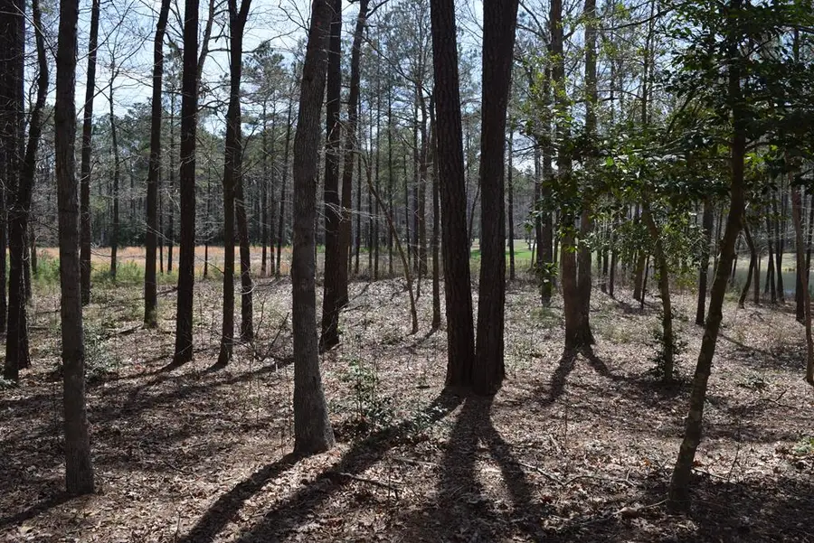 Lot  75 Scarburgh Lane, Horntown, VA 23395 - Image #3