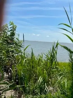 lot F Walter St, Quinby, VA 23423 - Image #1