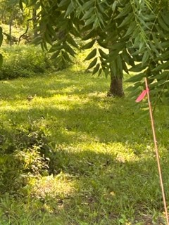 lot F Walter St, Quinby, VA 23423 - Image #2