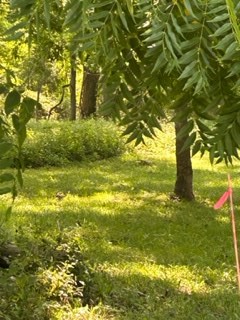 lot F Walter St, Quinby, VA 23423 - Image #3