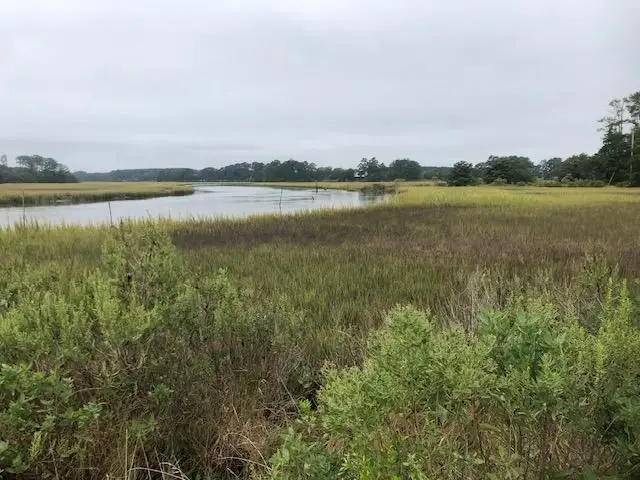 0 Fox Grove Rd, Parksley, VA 23421 - Image #3