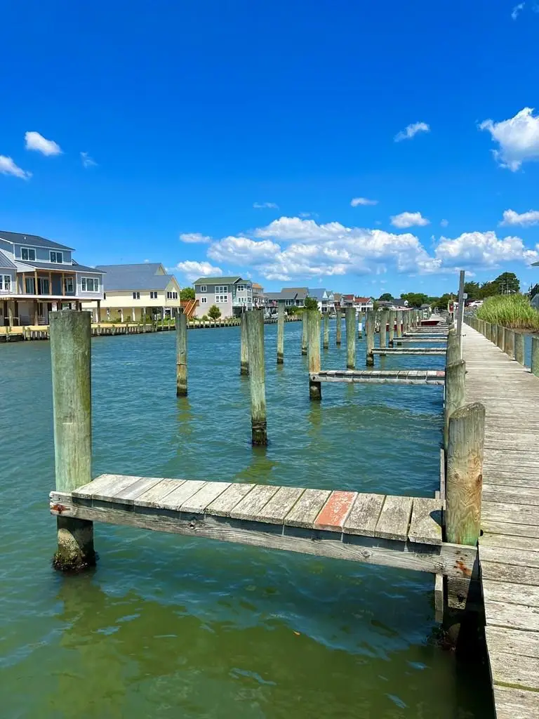 Lot 1914 Buccaneer Blvd, Greenbackville, VA 23356 - Image #3