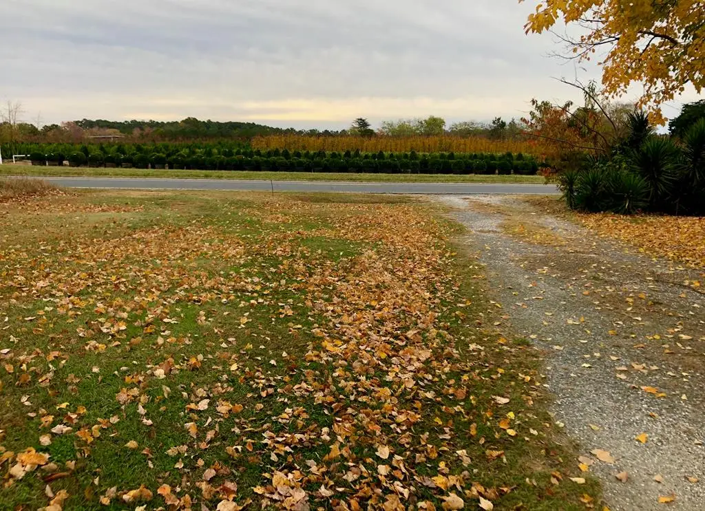 Lot 5 Bayside Rd, Exmore, VA 23350 - Image #1