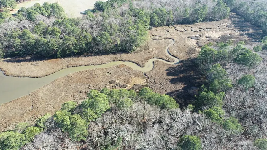 Lot 16 Lucas Tr, Machipongo, VA 23405 - #3