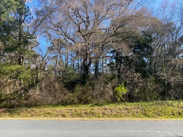 Lot 5 Hideaway Cove Rd, Jamesville, VA 23398 - Image #2